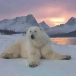 El Mito de Nanuk: El Gran Oso Polar y su Significado